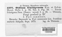 Image Associated With the Occurence